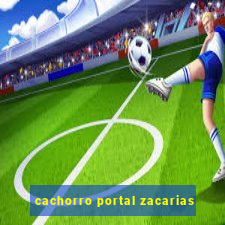 cachorro portal zacarias